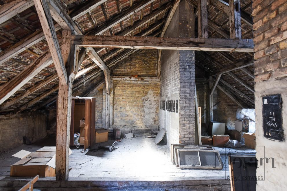 Жизнь над крышами Вены