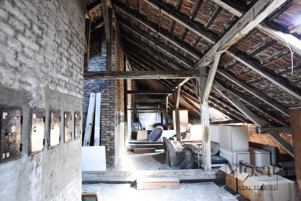 Жизнь над крышами Вены