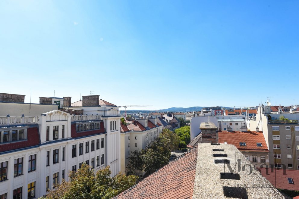 Жизнь над крышами Вены