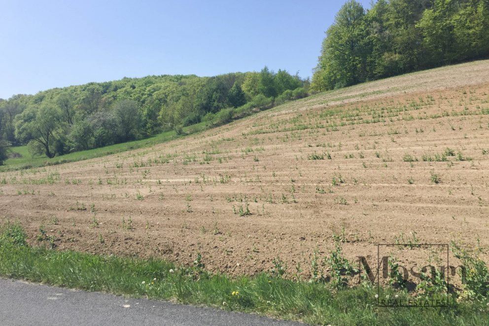 Земля в Бургенланде