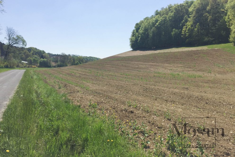 Земля в Бургенланде