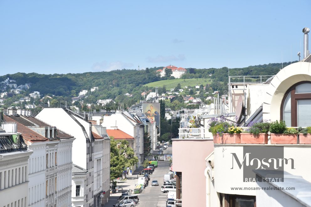 Замечательная квартира с террасой на верхнем этаже с видом на всю Вену