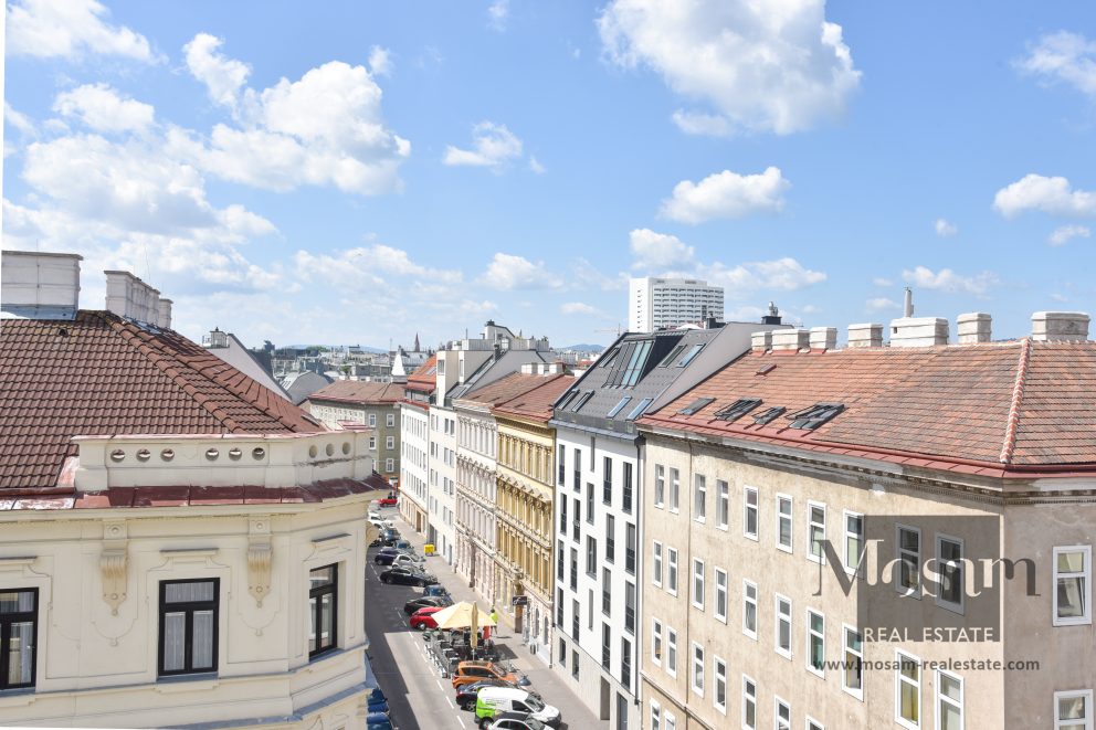 Замечательная квартира с террасой на верхнем этаже с видом на всю Вену