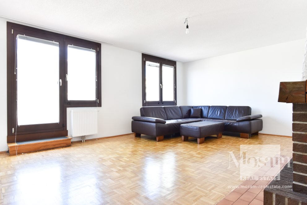 Замечательная квартира с террасой на верхнем этаже с видом на всю Вену