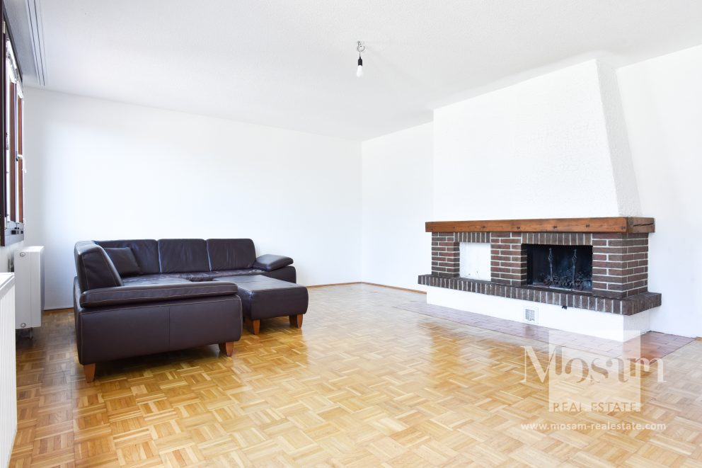 Замечательная квартира с террасой на верхнем этаже с видом на всю Вену