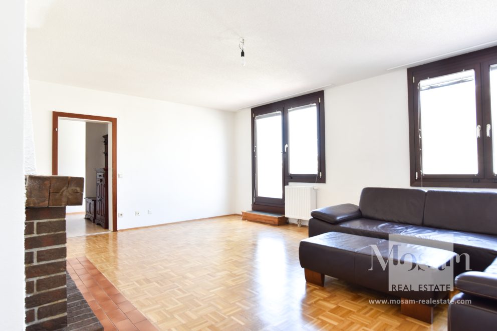 Замечательная квартира с террасой на верхнем этаже с видом на всю Вену