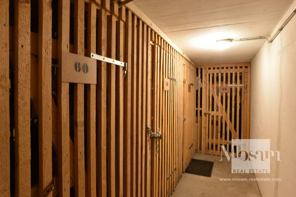 Замечательная квартира с террасой на верхнем этаже с видом на всю Вену